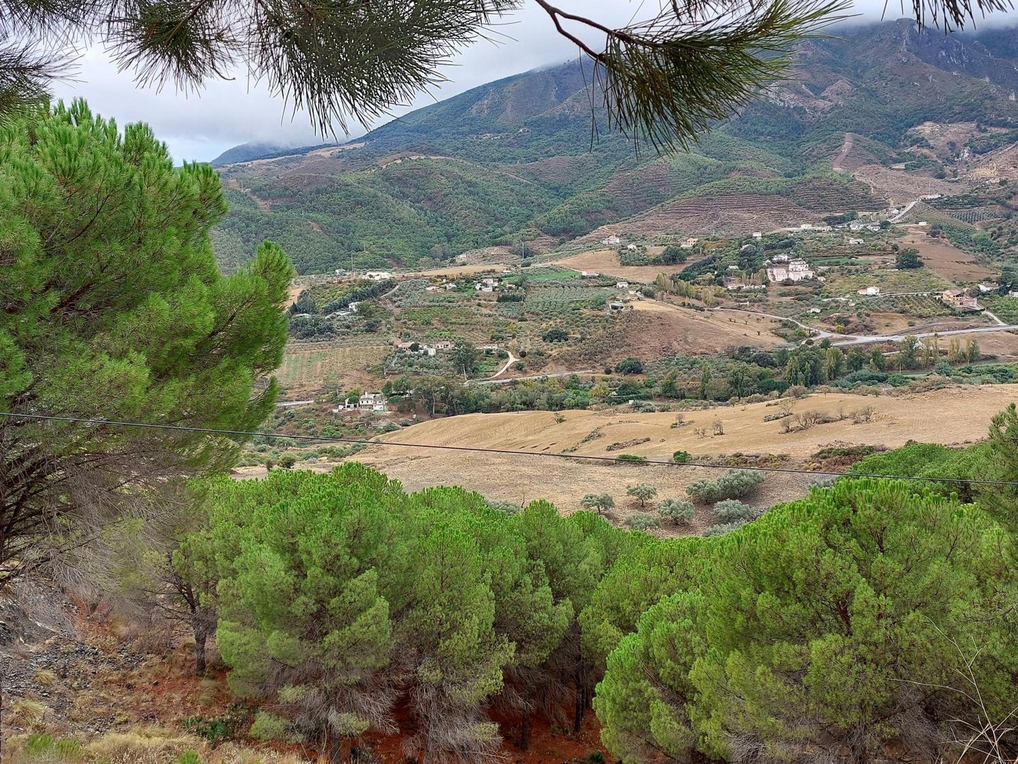 El Bufon De La Corte Carratraca Bagian luar foto